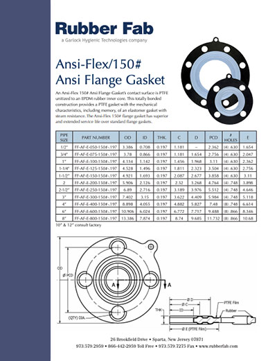 Ansi Flange Gasket